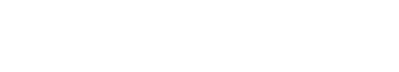 Optiboats logo white 2